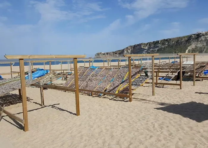 Daire Oceano Nazaré